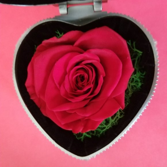 Preserved Eternal Red Rose in Heart-shaped Jewelry Box - Picture 2 of 15